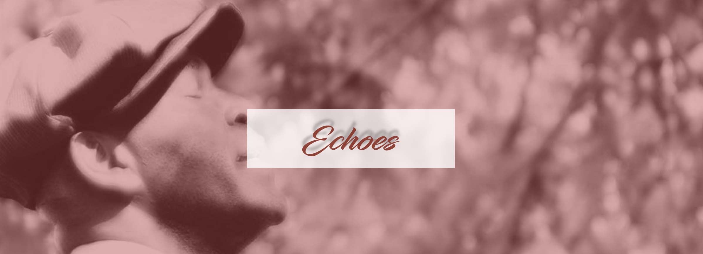 hero-echoes hero-echoes