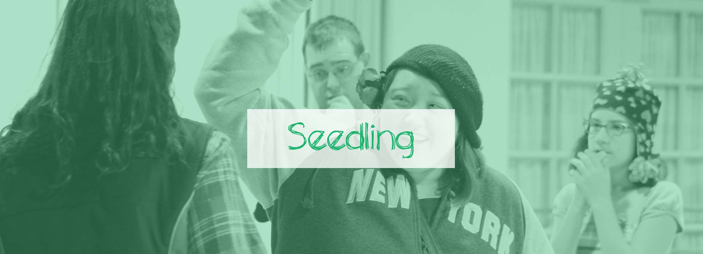 hero-seedling